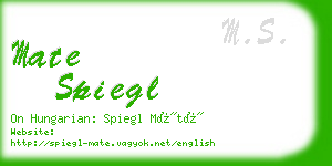 mate spiegl business card